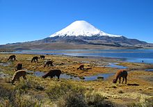 Το ηφαίστειο Parinacota στη βόρεια Χιλή