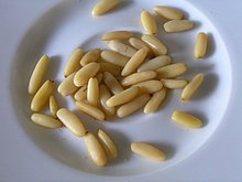 Pignons européens décortiqués (Pinus pinea)