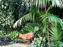 Flecker Botanical Gardens