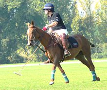 Jugador de polo con toda la equipación  
