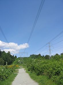 BC Hydro elektropārvades torņi un līnijas Kokitlāmā, Britu Kolumbijā.