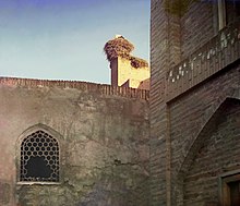 Nido di cicogna in cima al muro di un palazzo, prima del 1915
