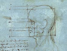 Leonardo da Vinčio žmogaus galvos tyrimas