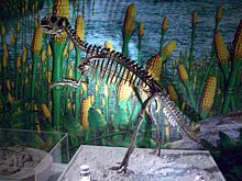 Varhainen ceratopsian: Psittacosaurus