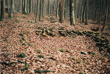 Rhaetian Limes: The Rhaetian Wall at WP 14/77, the remains of which can be seen in the foreground