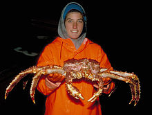 La pêche au crabe royal en Alaska