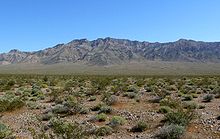 Mojave Desert