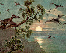 Několik létajících Rhamphorhynchusů a sedící Pterodactylus, autor Heinrich Harder, 1916.