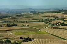Vinice Rioja u řeky Ebro