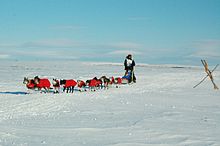 Robert Sørlie shortly before Nome, 2007