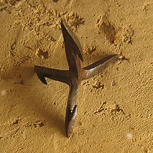Roman caltrop w Westphalian Museum for Archaeology, Herne, Niemcy