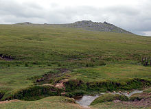 Drsný Tor  
