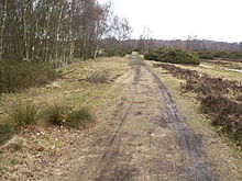 Ein Teil der Icknield Street in Sutton Park