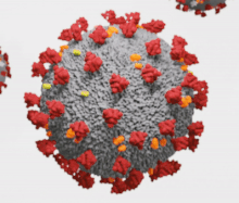 SARS-CoV-2 virüs suşunun 3D Animasyonlu viryonu