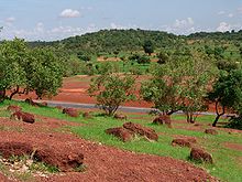 Dry forest with acacias and a baobab between Kayes and Bamako during the rainy season