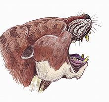 Creodont