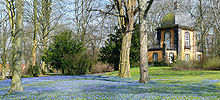 Scilla flowers at the Linden mountain cemetery (location52 .3627399 .703387 )