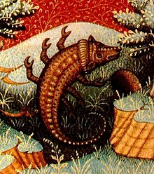 The scorpion can be recognized by its sting.