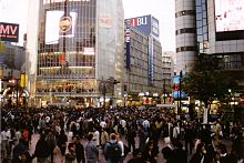 Shibuya intersection