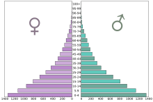 Age pyramid in 1000 inhabitants
