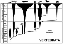 Denne type diagram viser geologiske perioder og den relative forekomst.