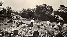 Dřevorubci z mahagonového dřeva, kolem roku 1930