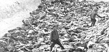 Concentration camp doctor Fritz Klein in a mass grave in Bergen-Belsen concentration camp after its liberation in April 1945