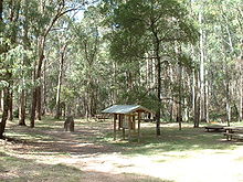 Stringybark Creek