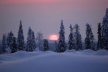Boreal coniferous forest, Finland