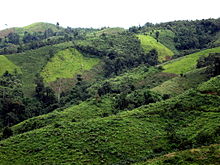 "Patchwork" landscapes, like this one in southern China, emerge when settlement in traditional shifting cultivation areas becomes too dense