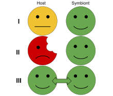Tři typy symbiotických vztahů: komenzalistický (I), parazitický (II) a mutualistický (III).