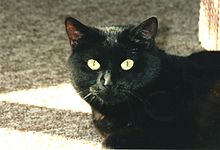 Superstition