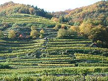 ... and landscape (Photo: Wachau).