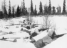 Finnische Skitruppen