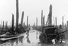 Bombed forest near Ypres