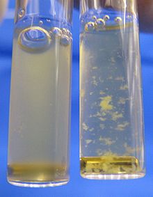 Platelet-rich blood plasma (left) is a turbid liquid. When ADP is added, the platelets are activated and bind to each other, forming white flocs (right).