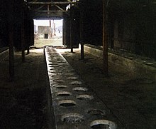 S takšnimi latrinami je bila higiena v Auschwitzu nemogoča.