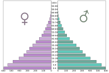 Age pyramid in 1000 inhabitants