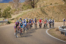 Avustralya'da bir etap yarışı olan Tour of Gippsland, Omeo Shire'ın doğal bölgesinden geçerek tırmanıyor