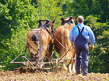 The concept of culture goes back to the agricultural reclamation - the cultivation - of nature.