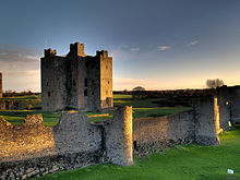 Trim Castle, Trim  