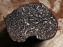 Trufa negra del Périgord