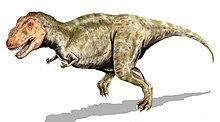 Live reconstruction