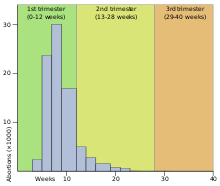 Histogram potratov podľa gestačného veku v Anglicku a Walese v roku 2004. Priemer je 9,5 týždňa.