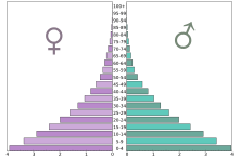 Age pyramid in millions of inhabitants