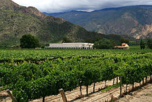 Salta