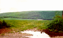 Skutečný Watership Down u vesnice Kingsclere v hrabství Hampshire v roce 1975