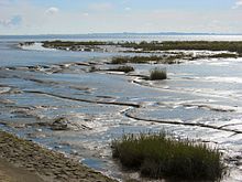 Wilhelmshaven tidal flat