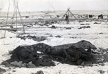 Wounded Knee después del tiroteo  