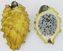Net als veel andere cactusvruchten heeft de drakenvrucht veel kleine zaadjes. De catussoort die het produceert, groeide oorspronkelijk in Mexico.